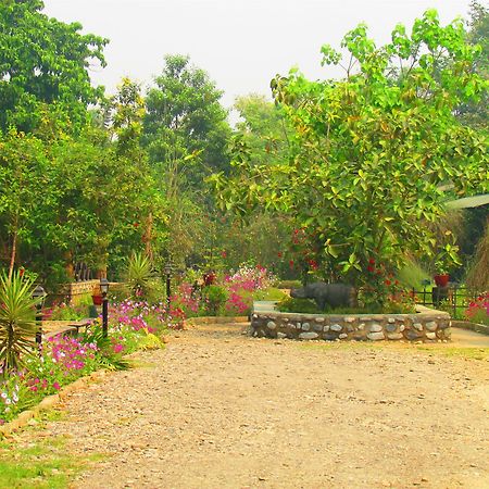 Chitwan Gaida Lodge Sauraha Ngoại thất bức ảnh