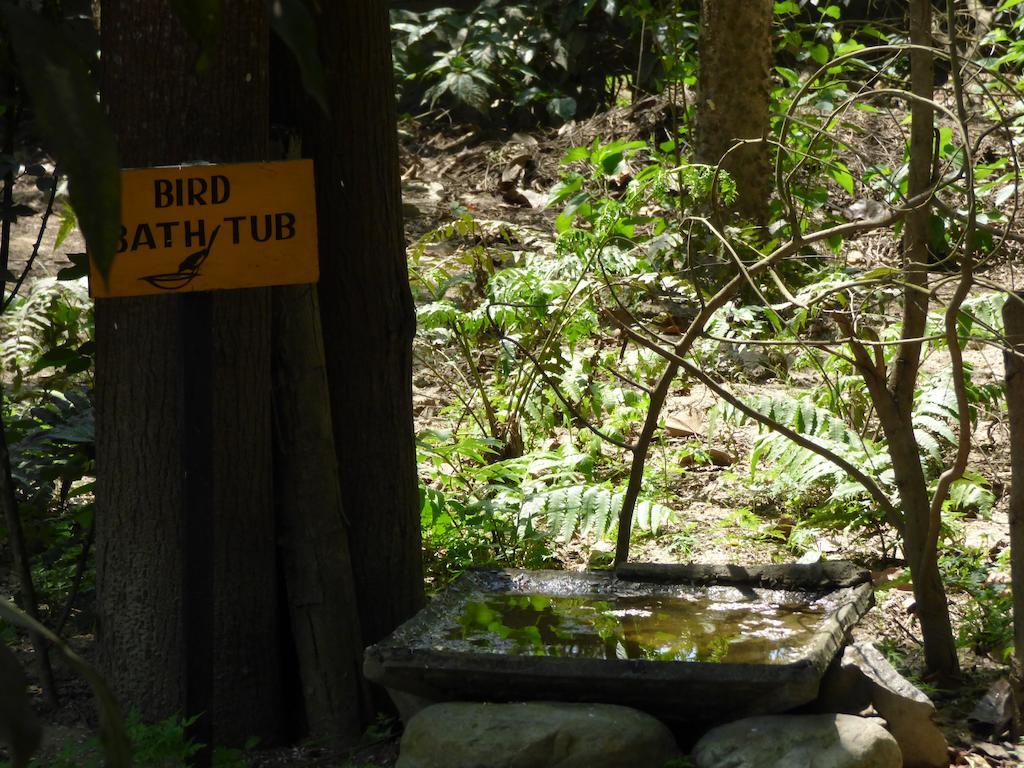 Chitwan Gaida Lodge Sauraha Ngoại thất bức ảnh