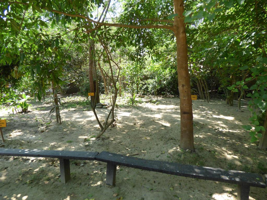 Chitwan Gaida Lodge Sauraha Ngoại thất bức ảnh