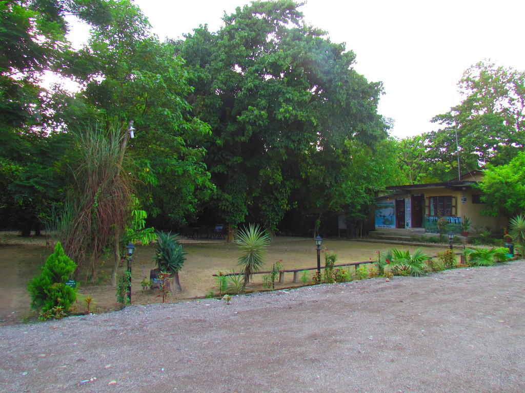 Chitwan Gaida Lodge Sauraha Ngoại thất bức ảnh