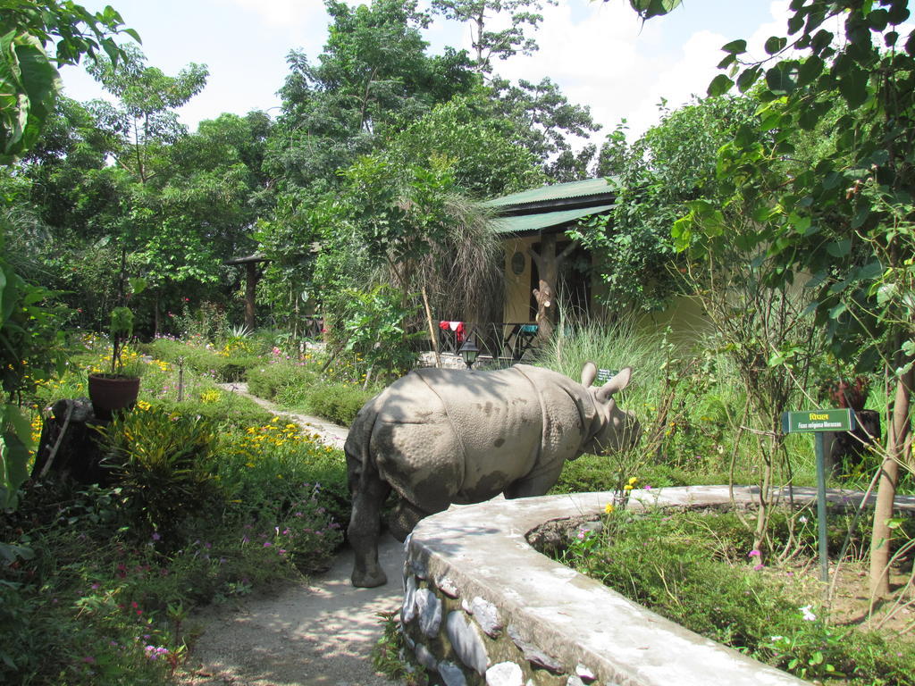 Chitwan Gaida Lodge Sauraha Ngoại thất bức ảnh