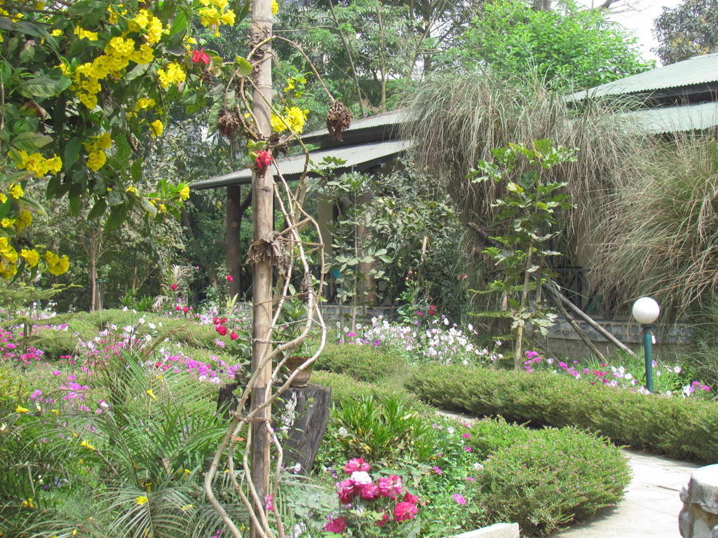 Chitwan Gaida Lodge Sauraha Ngoại thất bức ảnh