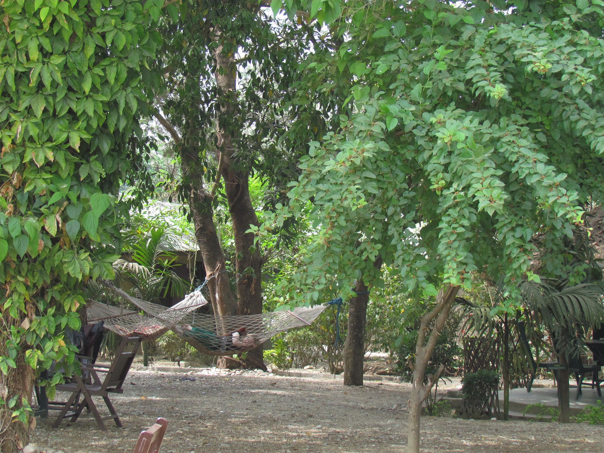Chitwan Gaida Lodge Sauraha Ngoại thất bức ảnh