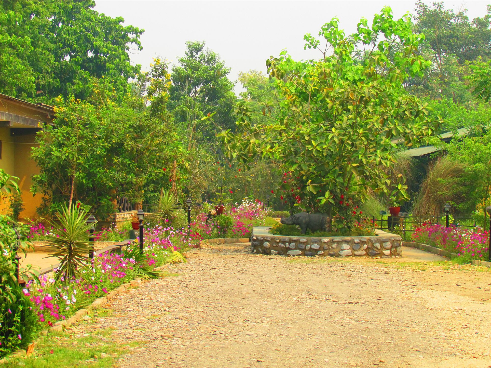 Chitwan Gaida Lodge Sauraha Ngoại thất bức ảnh