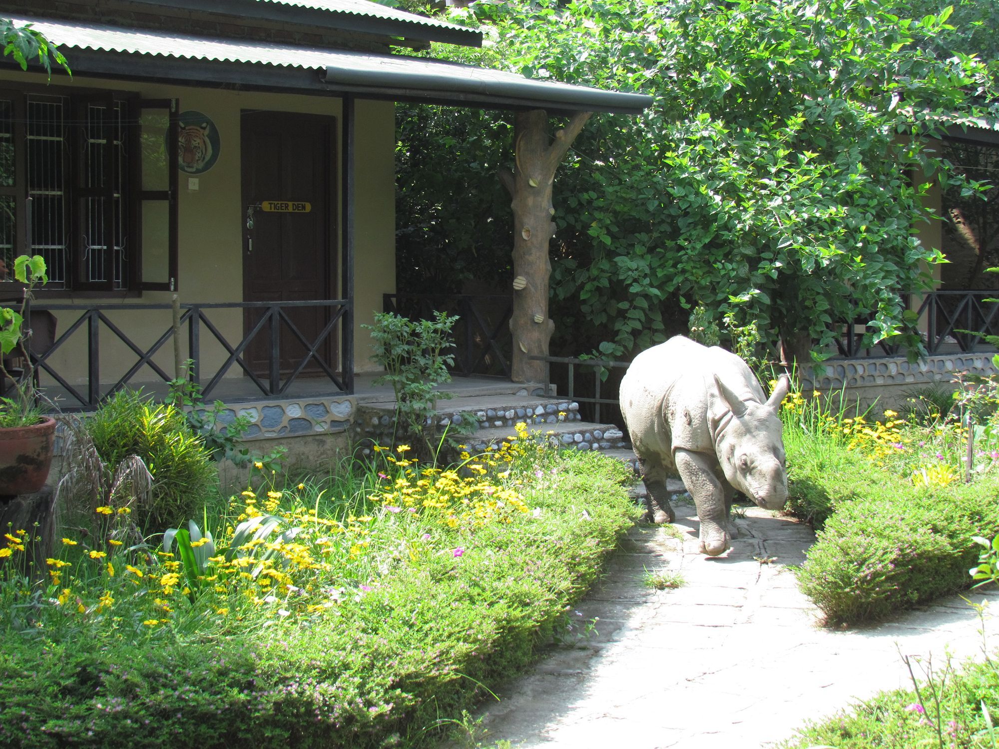 Chitwan Gaida Lodge Sauraha Ngoại thất bức ảnh